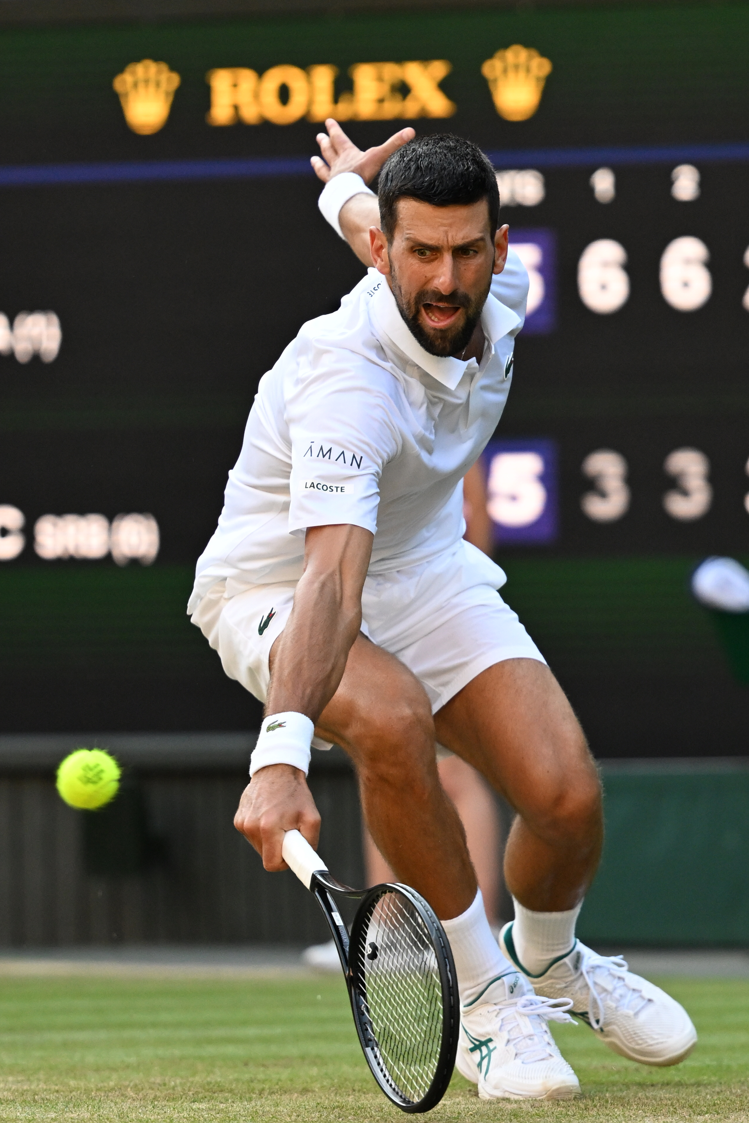 温网完胜拉沃尔杯，辛纳高光表现