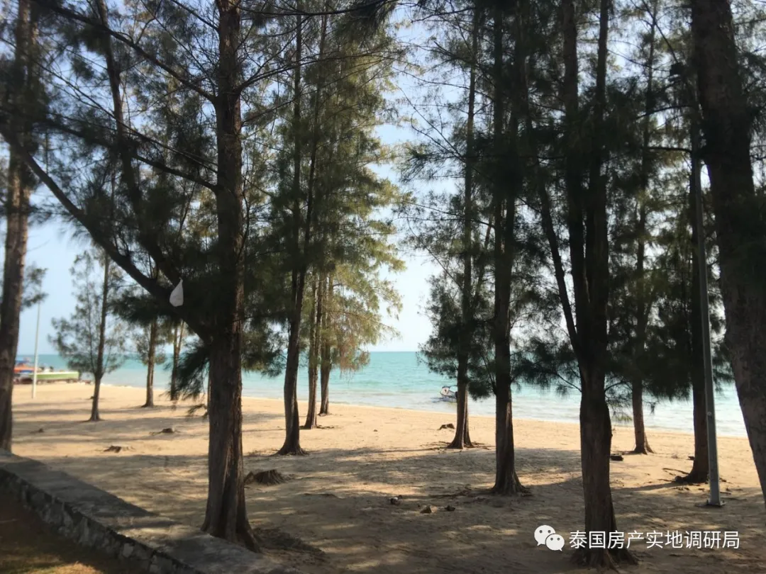 包含泰国队完胜马来西亚队，辛杜状态火热的词条