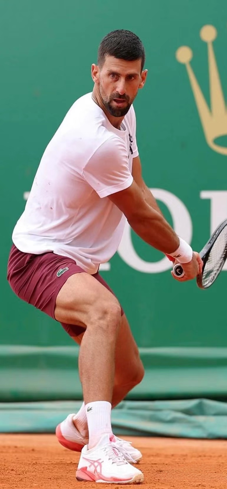 蒙特卡洛大师赛碾压法网,德约科维奇高光表现 蒙特卡洛大师赛碾压法网,德约科维奇高光表现